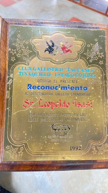 Trofeo 11