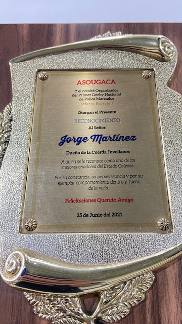 Trofeo 5