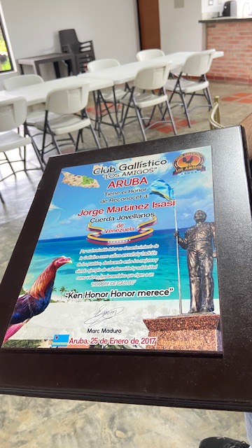Trofeo 7
