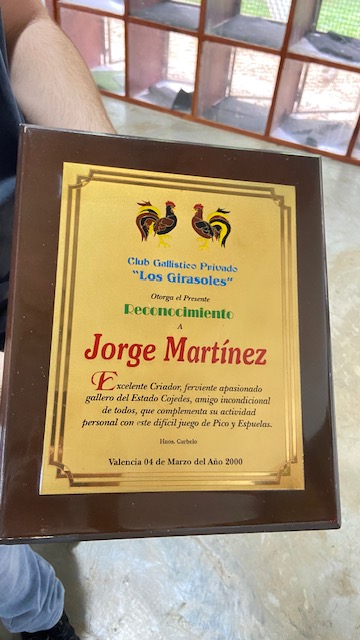 Trofeo 8